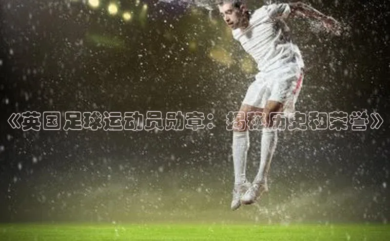 杏宇代理登录中心百度翻译App