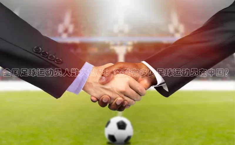 杏宇平台代理注册百度翻译