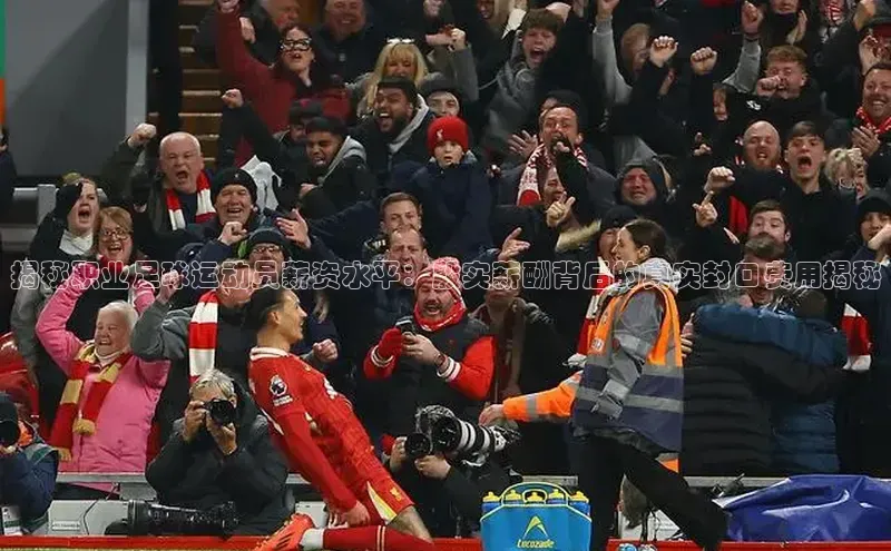 杏宇平台每日互动