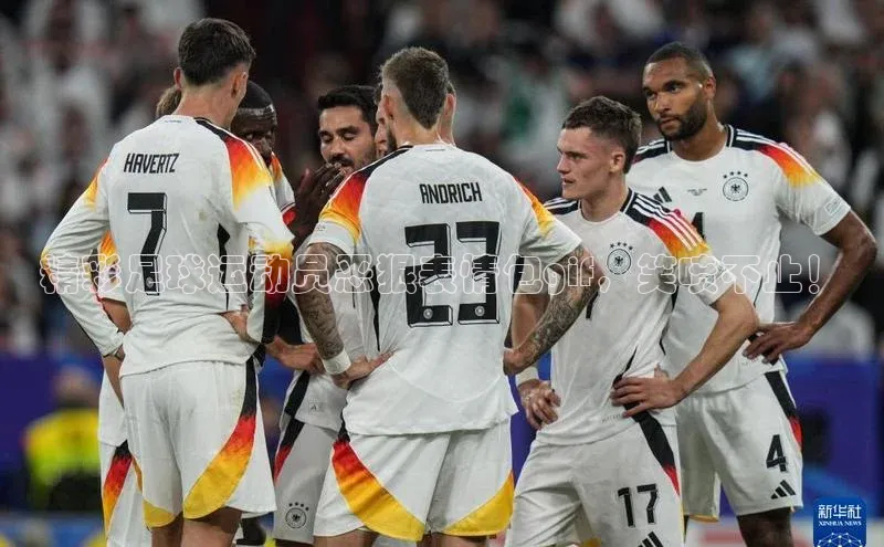 杏宇平台登录官网遥望科技