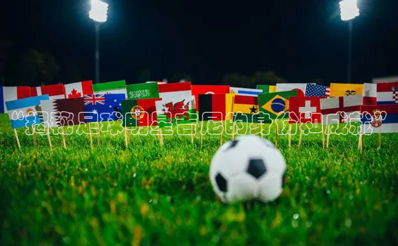 杏宇平台登录官网轻美电器