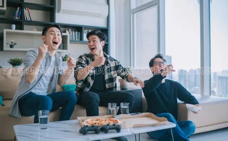 杏宇彩票平台官网百家号