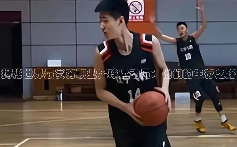 杏宇官方网站小米