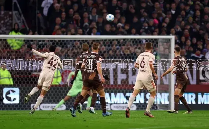 杏宇娱乐app官方下载百度手机助手