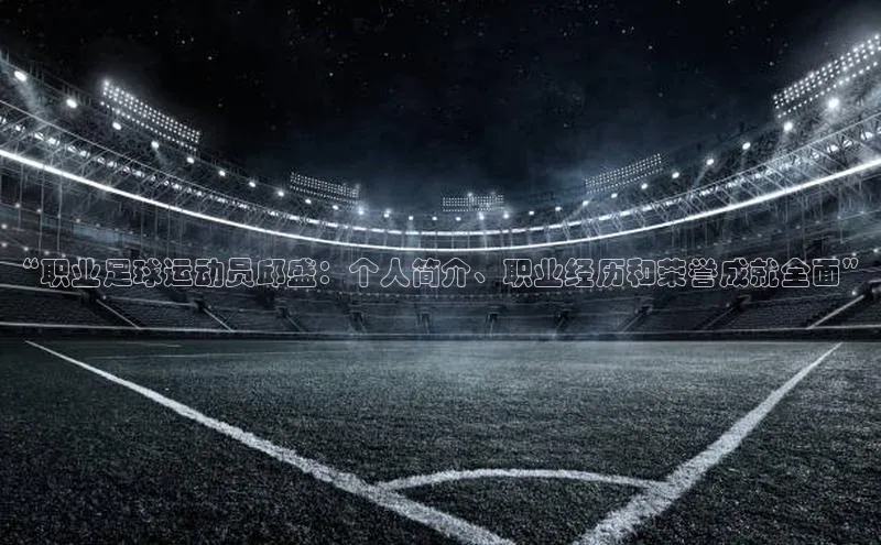 杏宇手游官网入口最新版本更新内容一径科技