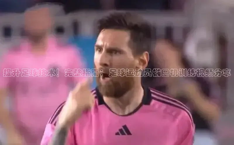 杏宇官方网站小米