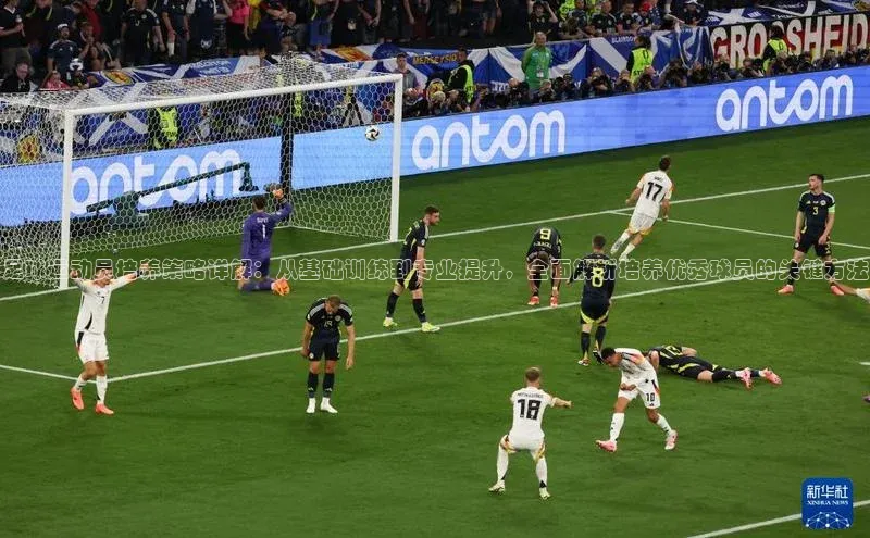 杏宇代理登录中心百度翻译App