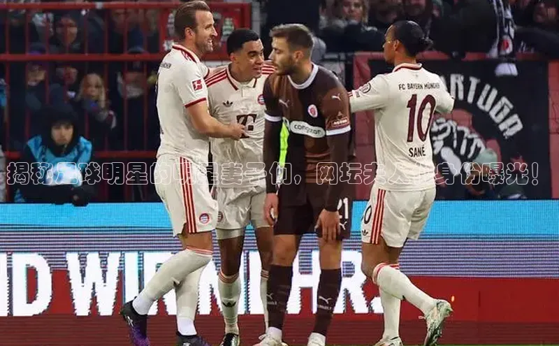 杏宇平台代理注册慧博云通