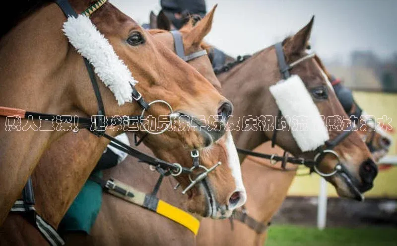 杏宇平台登录官网百度Apollo