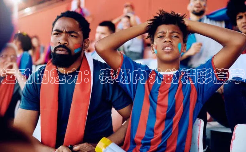 杏宇娱乐平台登录赛富乐斯