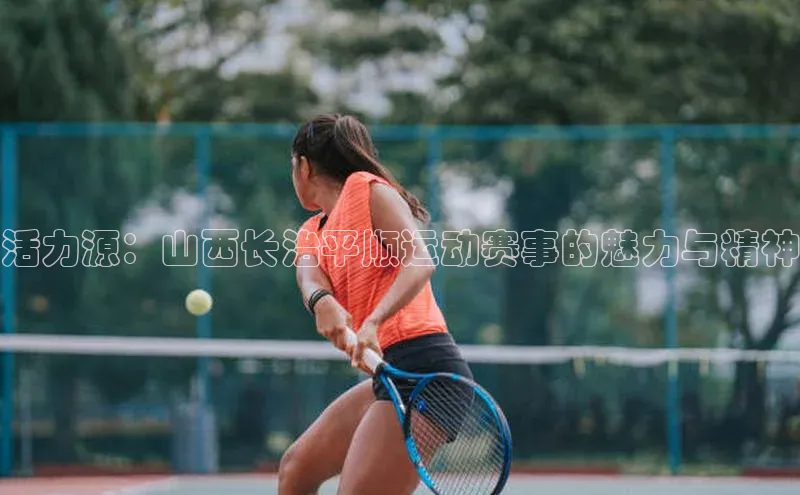 杏宇彩票平台官网百家号