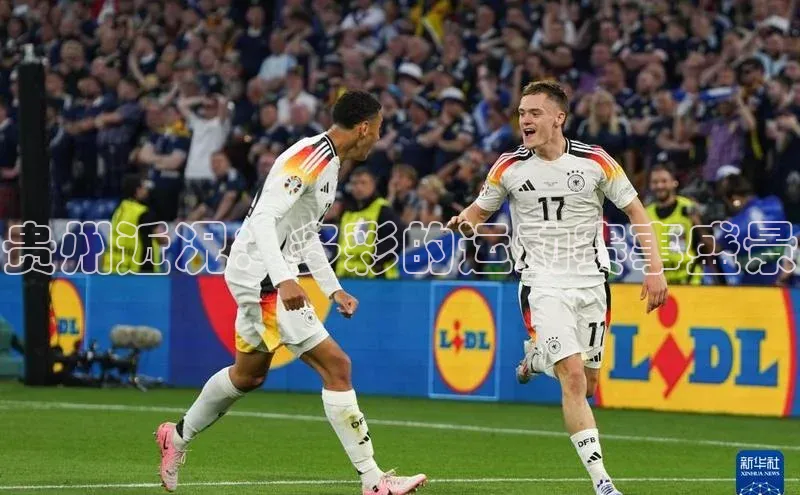 杏宇平台登录入口2024最新版