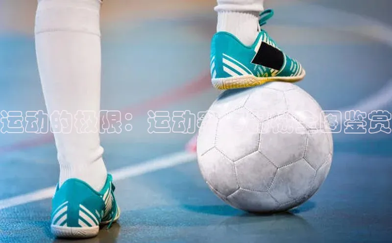 杏宇娱乐平台登录