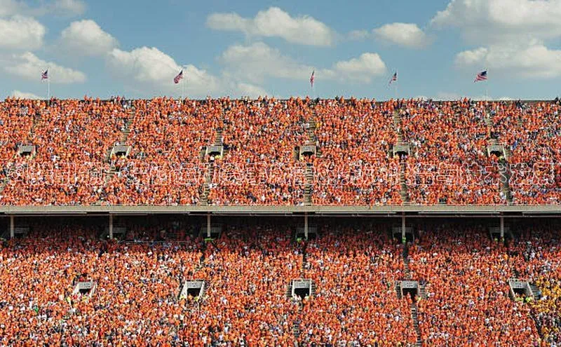 杏宇娱乐app官方下载