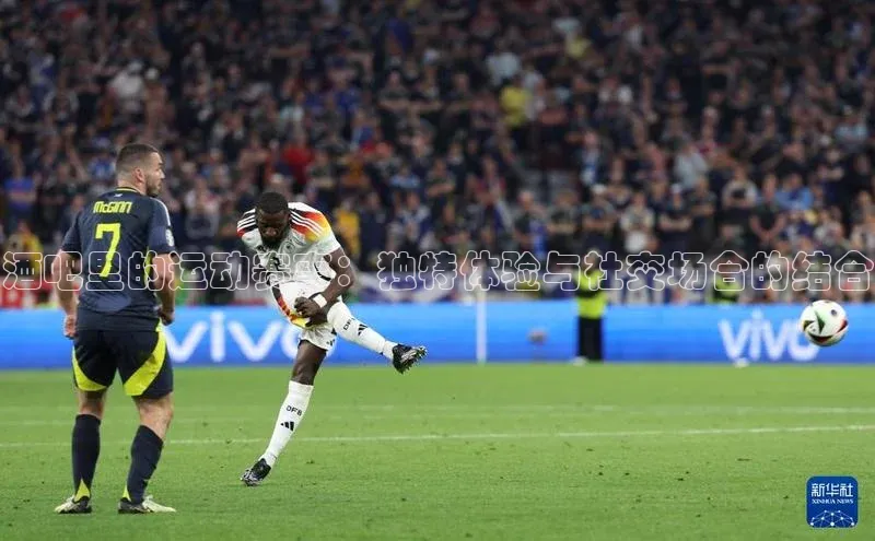 杏宇手游官网入口最新版本更新内容