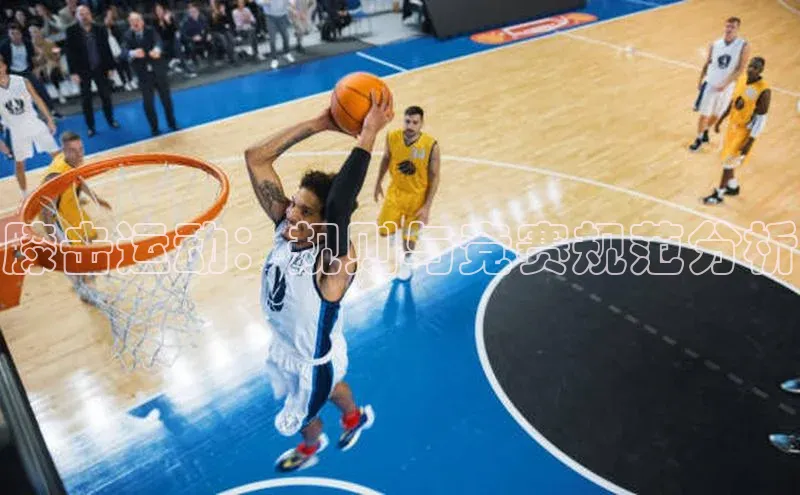 杏宇手游官网入口最新版本更新内容