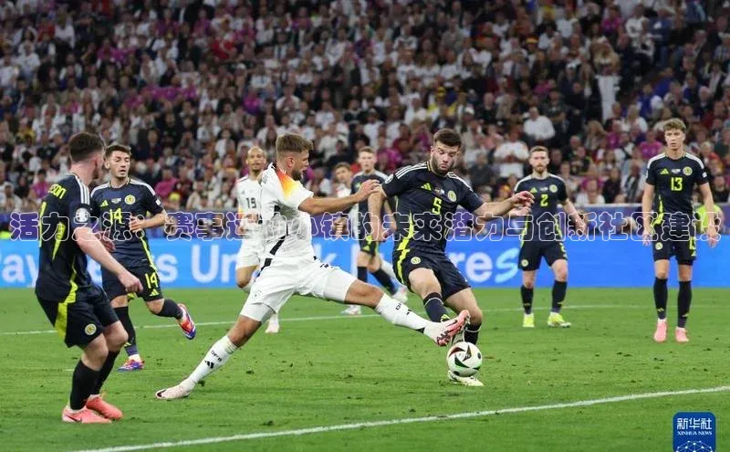 杏宇平台登录首页