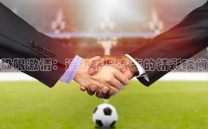 杏宇平台登录官网