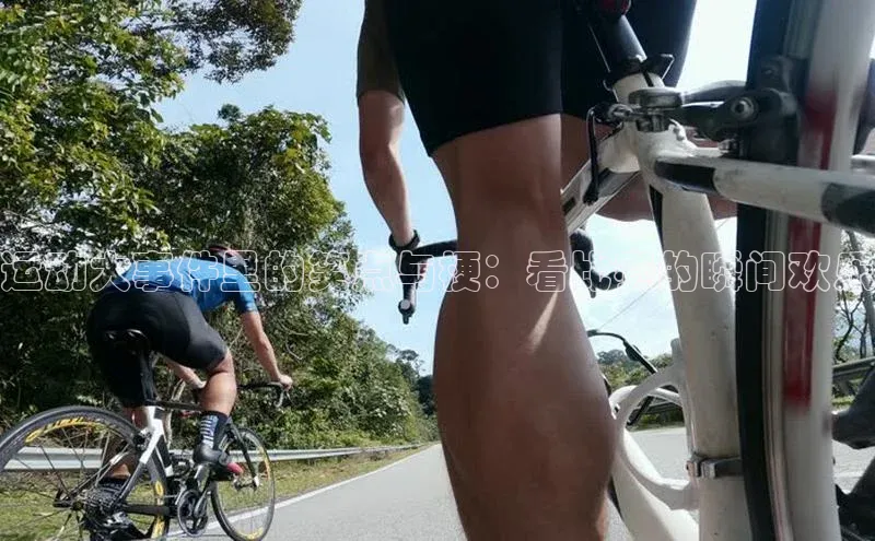 杏宇平台代理注册