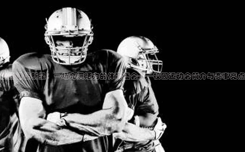 杏宇平台登录入口2024最新版