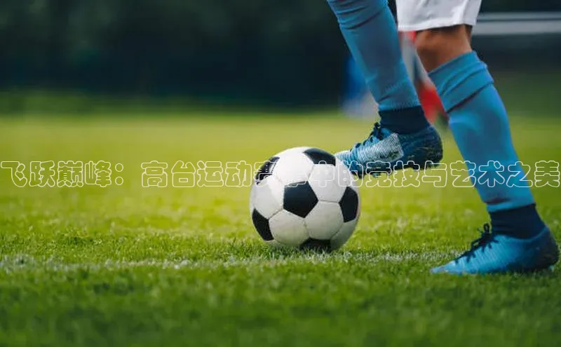 杏宇注册平台登录