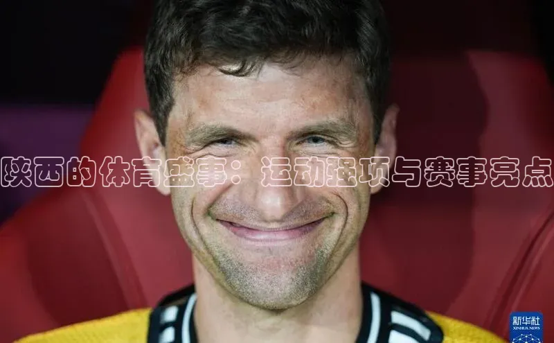 杏宇平台登录入口注册账号