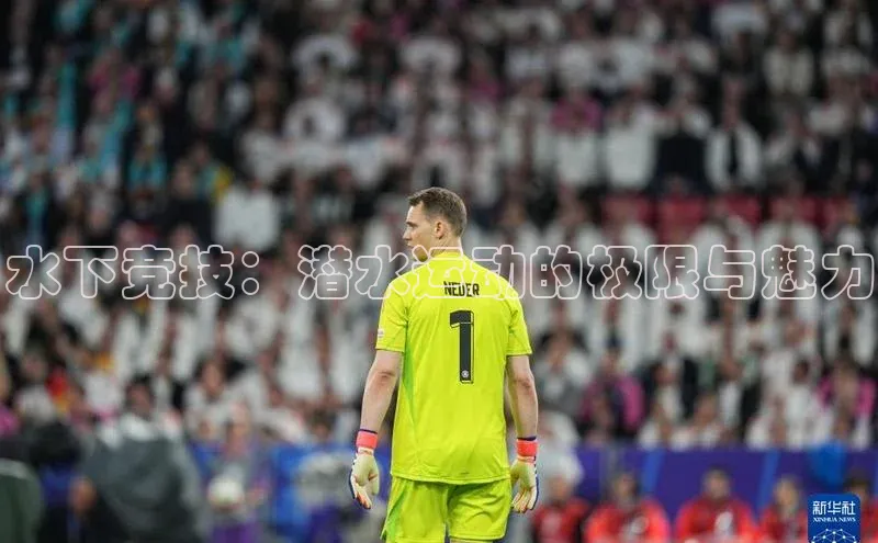 杏宇平台登录入口2024最新版