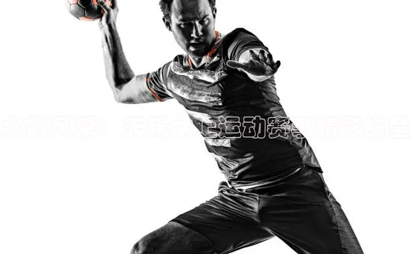 杏宇代理登录中心