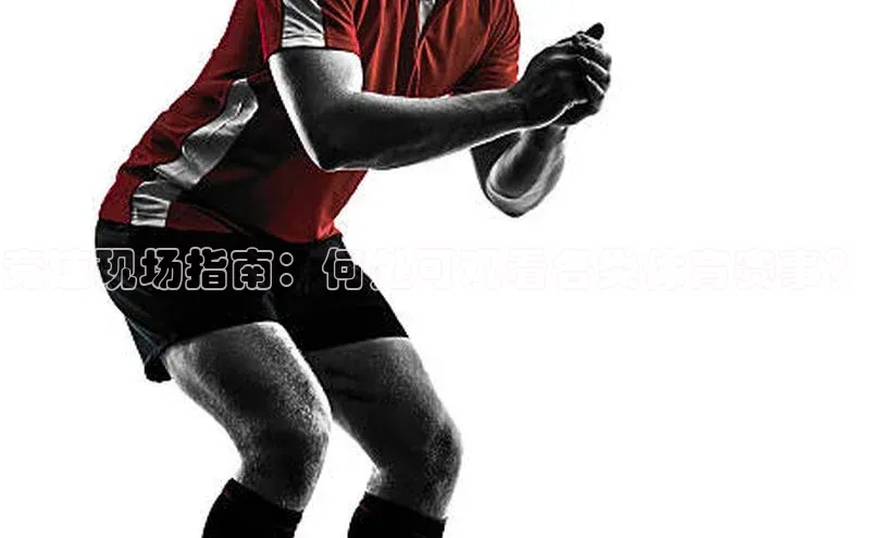 杏宇平台登录官网