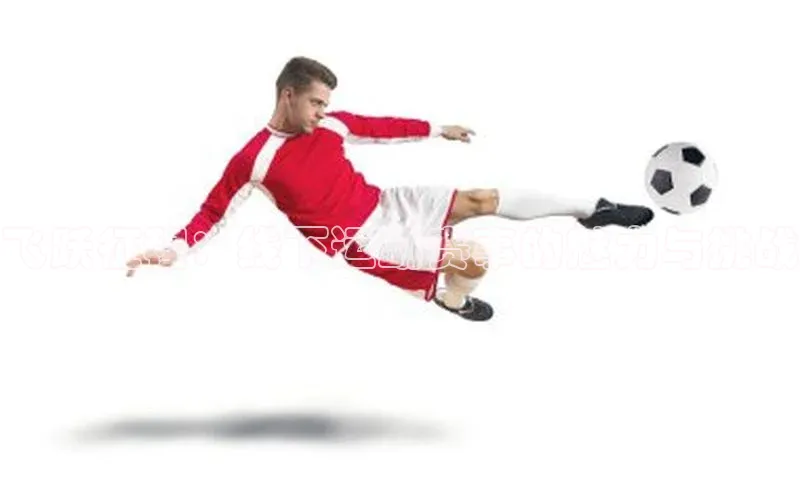 杏宇平台登录首页