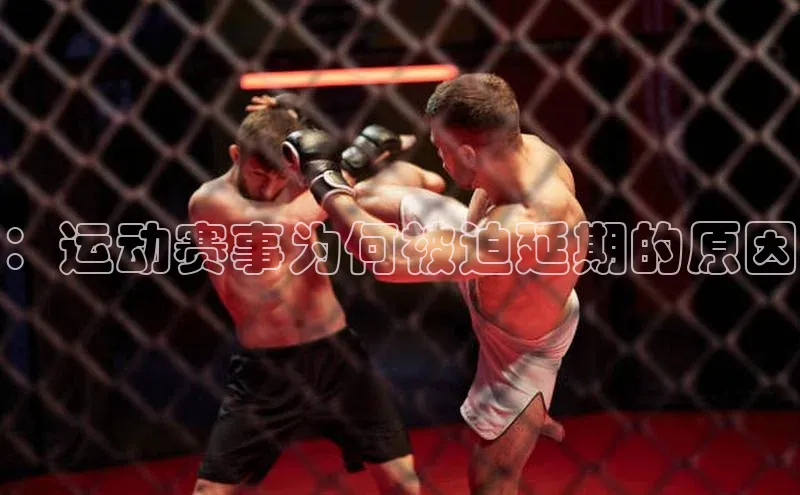 杏宇平台登录官网