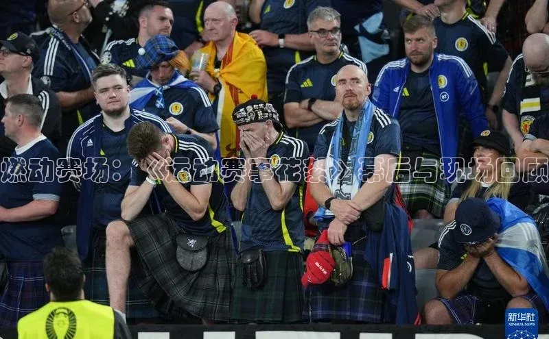 杏宇平台登录入口2024最新版