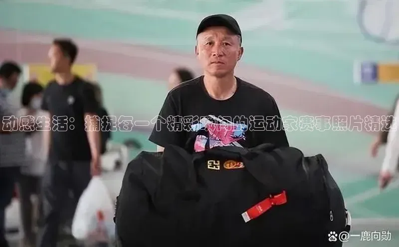 杏宇平台登录官网